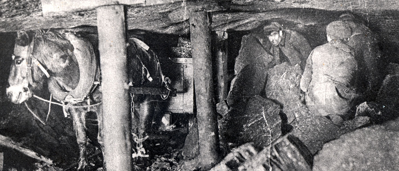 Image is a black and white photograph of several men and pony in an underground coal mine. The ceiling is very low and held up by wooden posts.